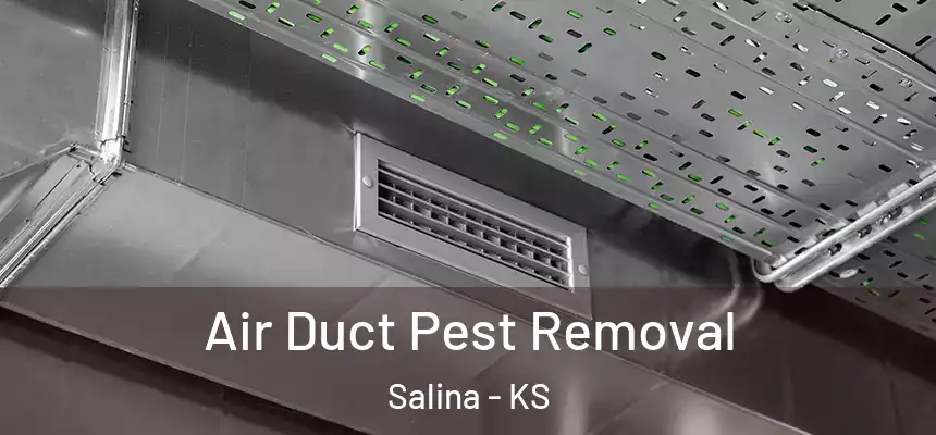  Air Duct Pest Removal Salina - KS