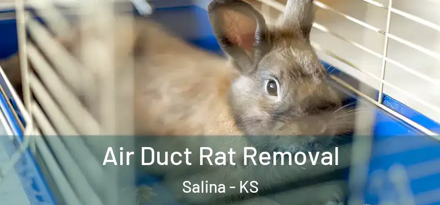 Air Duct Rat Removal Salina - KS