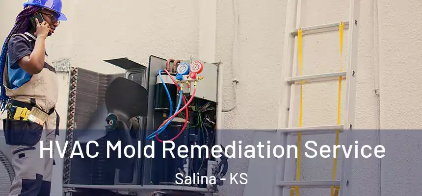  HVAC Mold Remediation Service Salina - KS