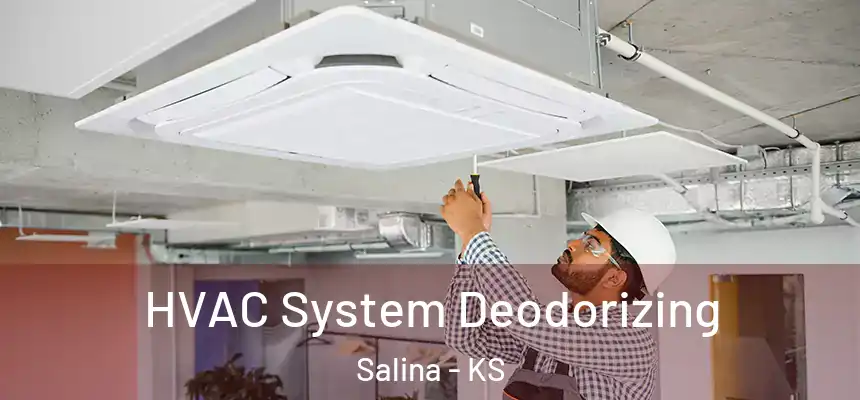  HVAC System Deodorizing Salina - KS