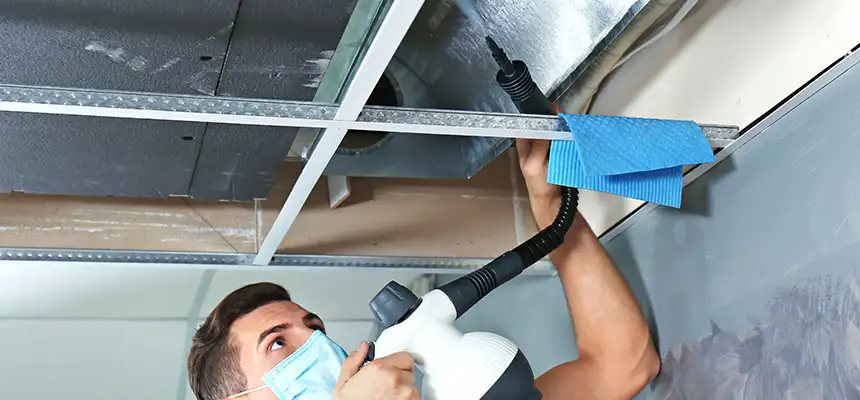 Our Air Duct Rodent Removal Services in Salina, KS