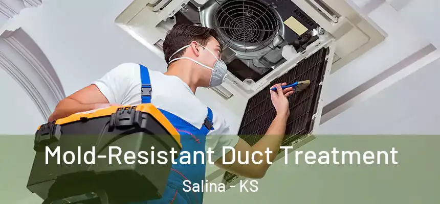  Mold-Resistant Duct Treatment Salina - KS