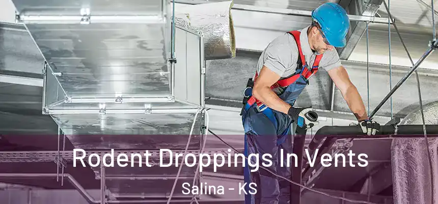  Rodent Droppings In Vents Salina - KS