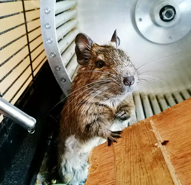 Why Homeowners & Businesses Trust Us Salina, KS?